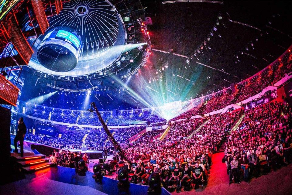 凡博不仅意 凡博不仅意